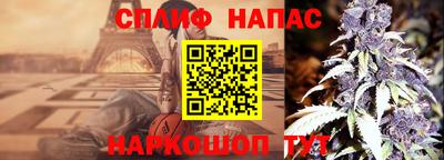 твердый Кингисепп