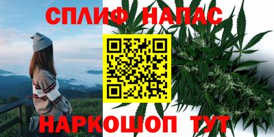 a pvp Кимры